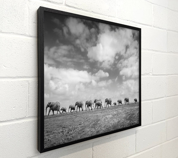 Gray Clouds, Elephant Line