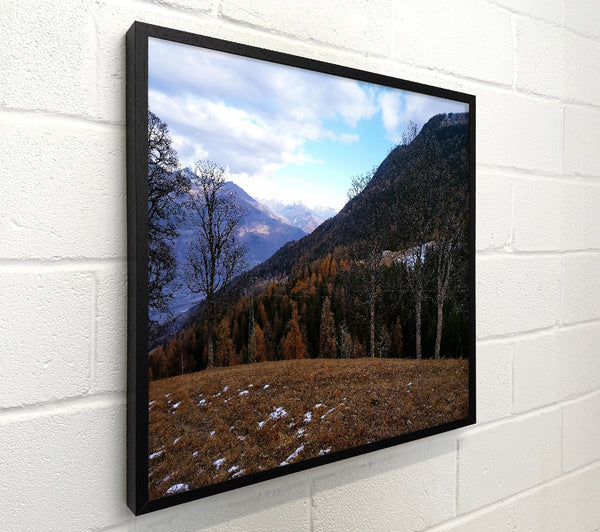 Brown Mountains View