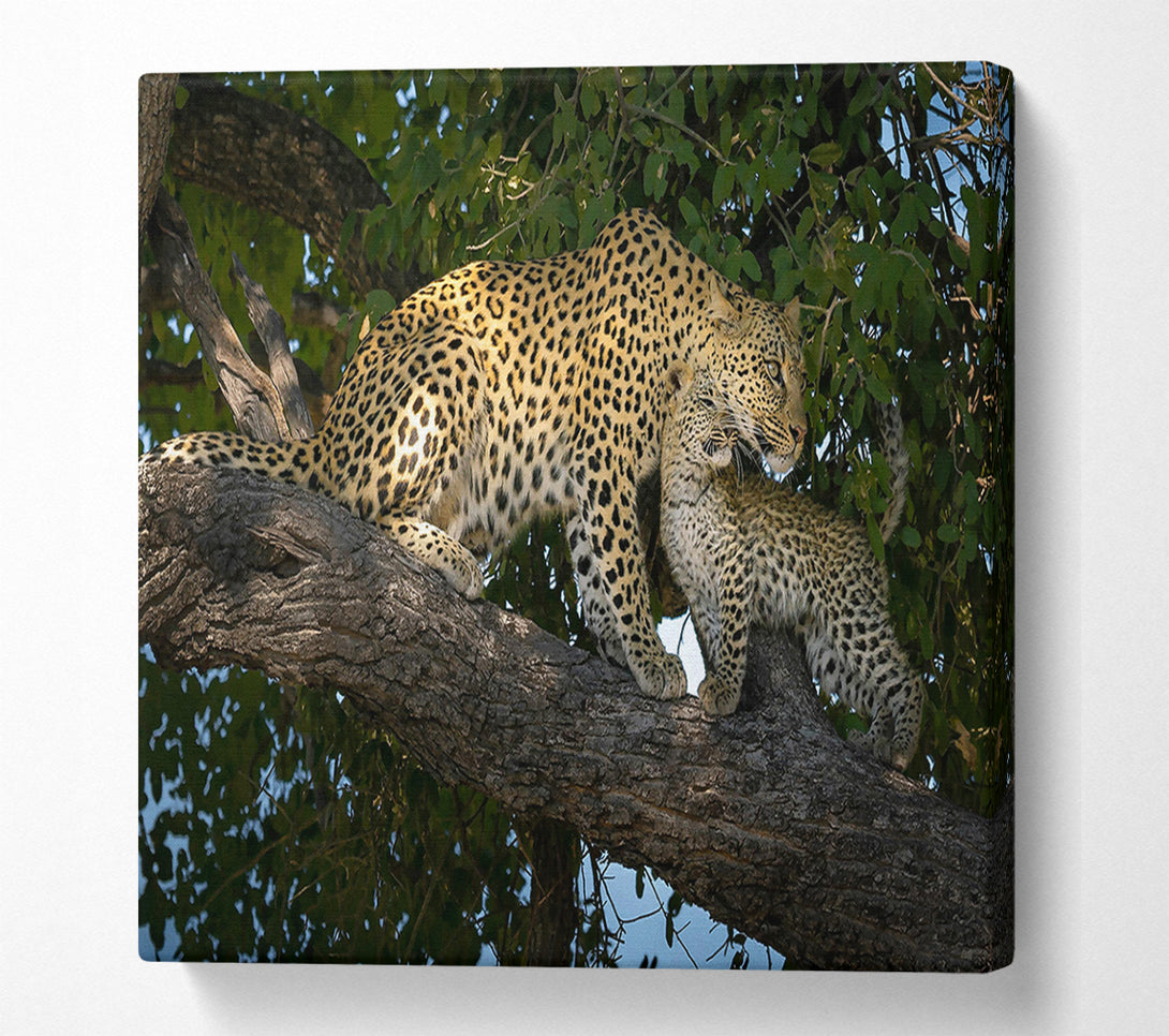 A Canvas Print of Golden Leopard Love Canvas Print