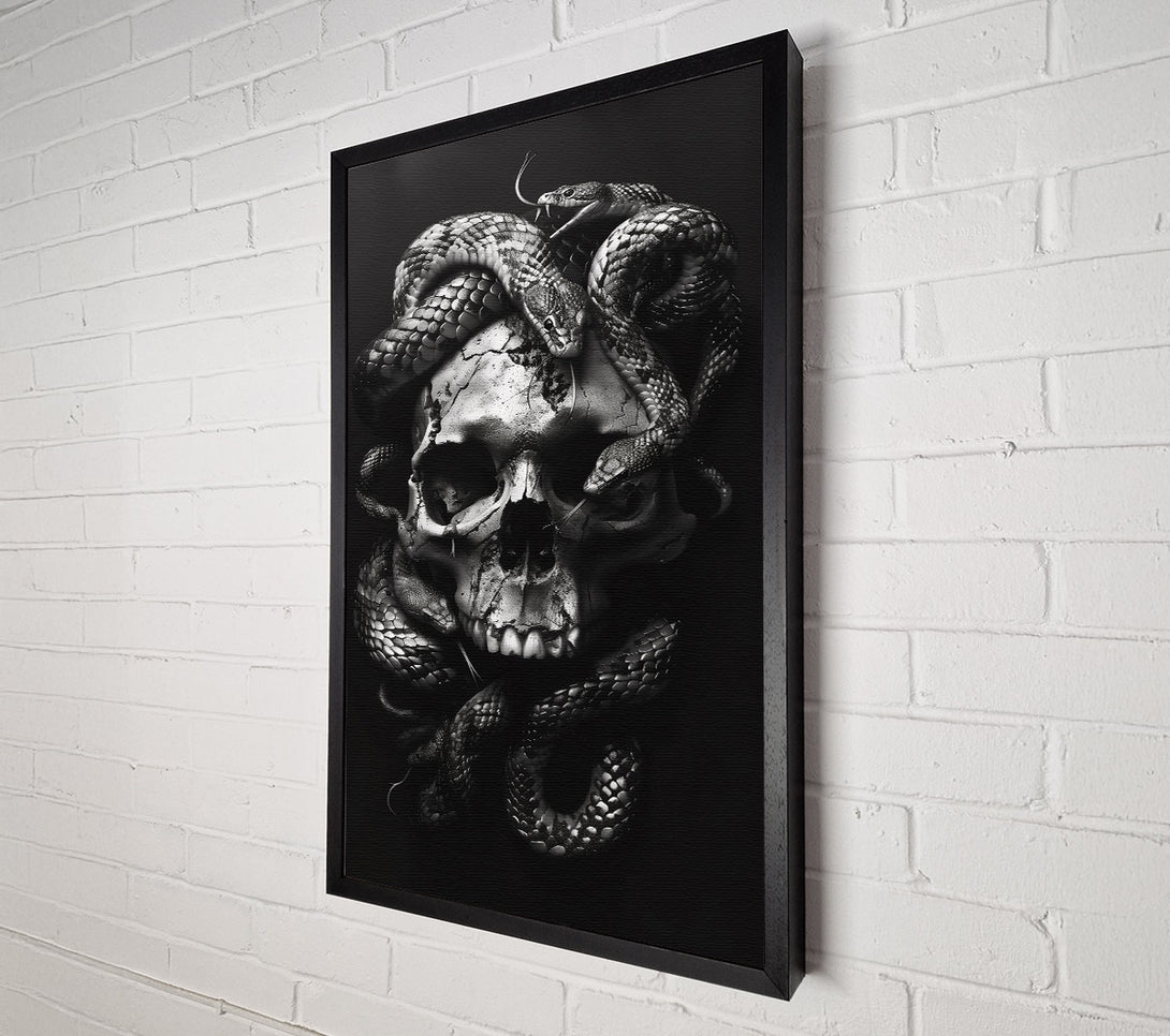  A Canvas Print of Silver Skull And Serpents Canvas Art