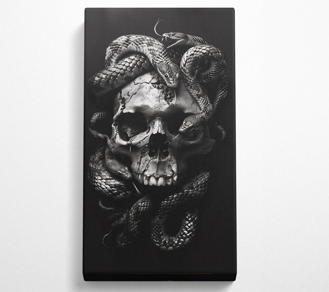  A Canvas Print of Silver Skull And Serpents Canvas Art