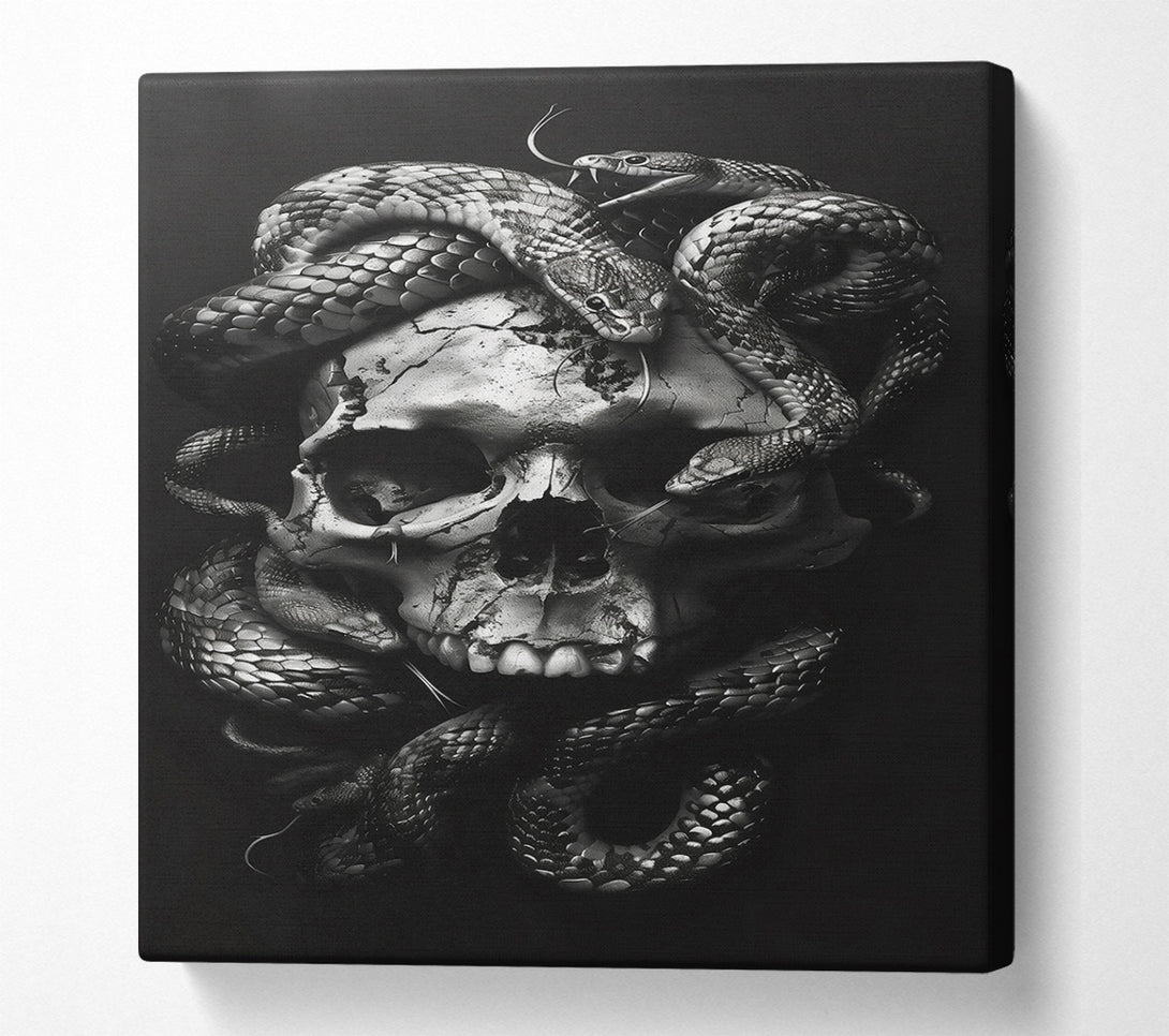  A Canvas Print of Silver Skull And Serpents Canvas Art