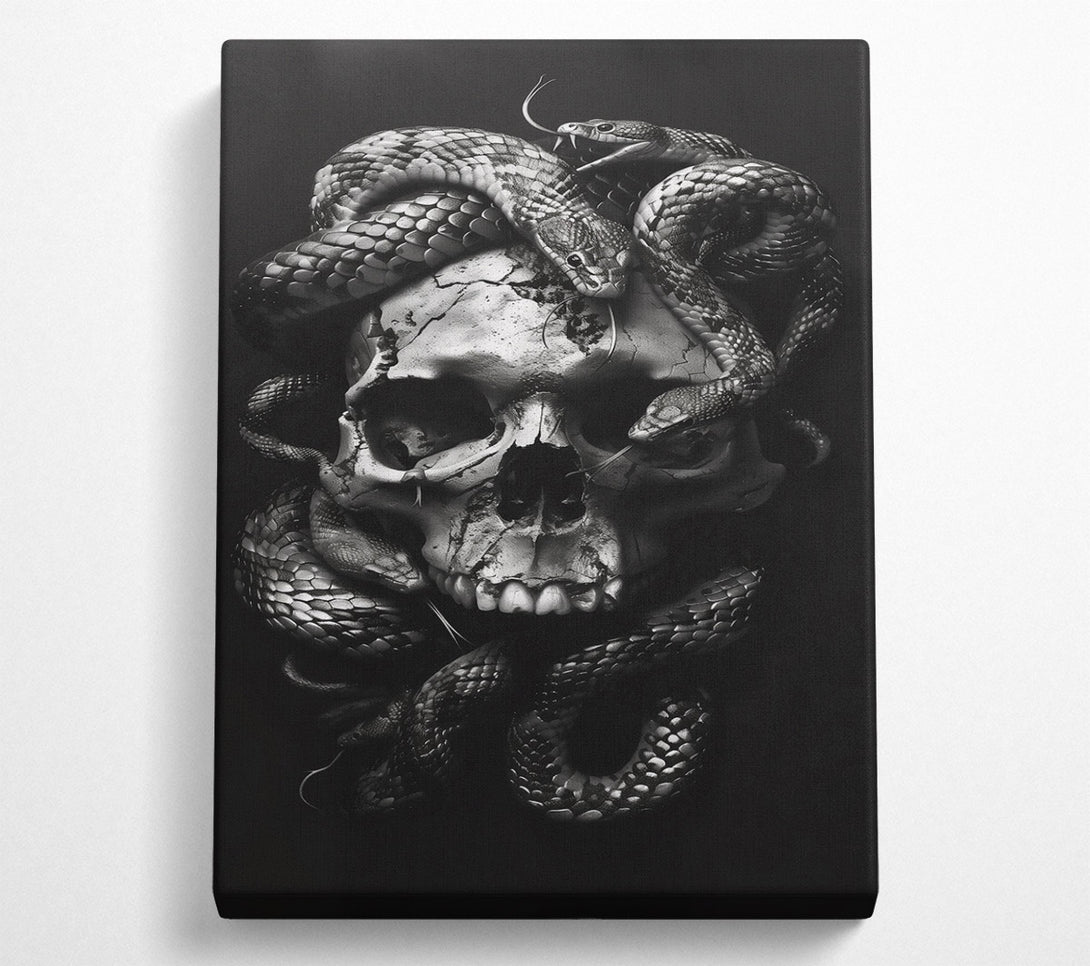  A Canvas Print of Silver Skull And Serpents Canvas Art