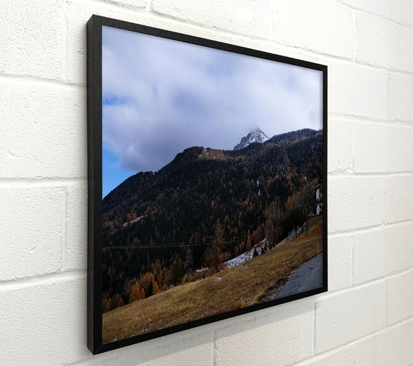 Brown Mountain Majesty
