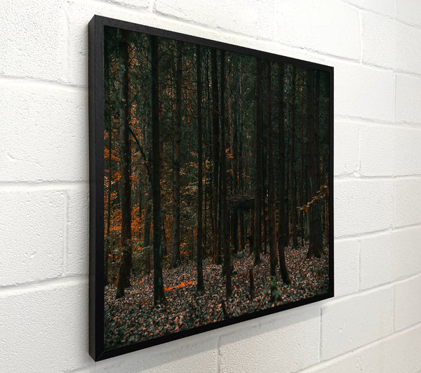 Autumn Forest Green