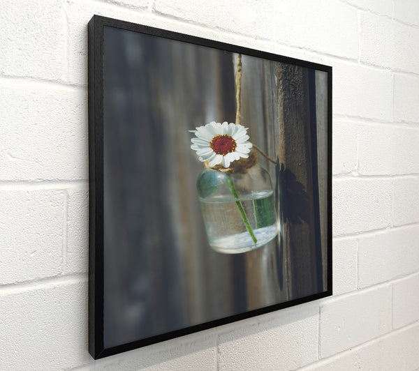 White Daisy In Blue Glass