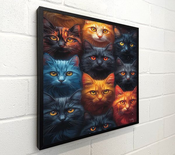 Orange Eyes, Blue Whiskered Cats
