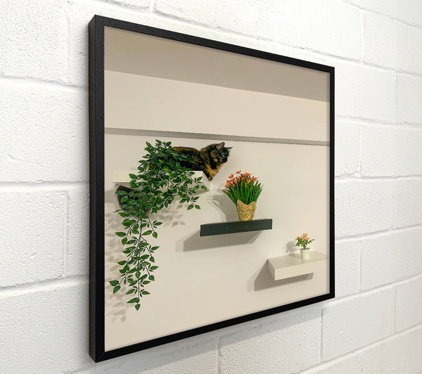 Black Shelf With Green Vines