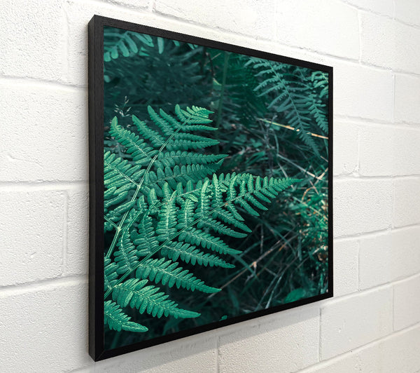 Emerald Green Fern Fronds