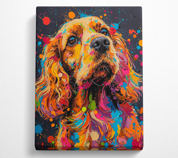 Golden Splash Of Color