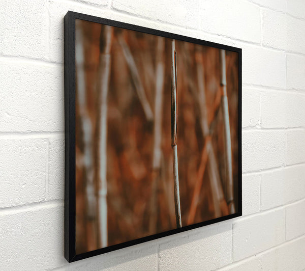 The Rusty Stems
