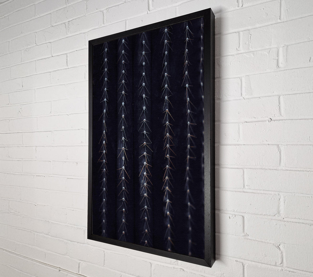  A Canvas Print of Black Spines Of The Desert. Canvas Art