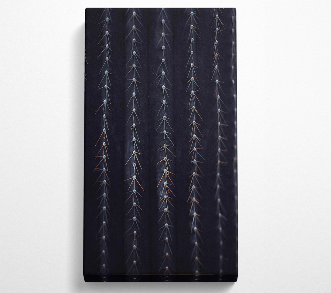  A Canvas Print of Black Spines Of The Desert. Canvas Art
