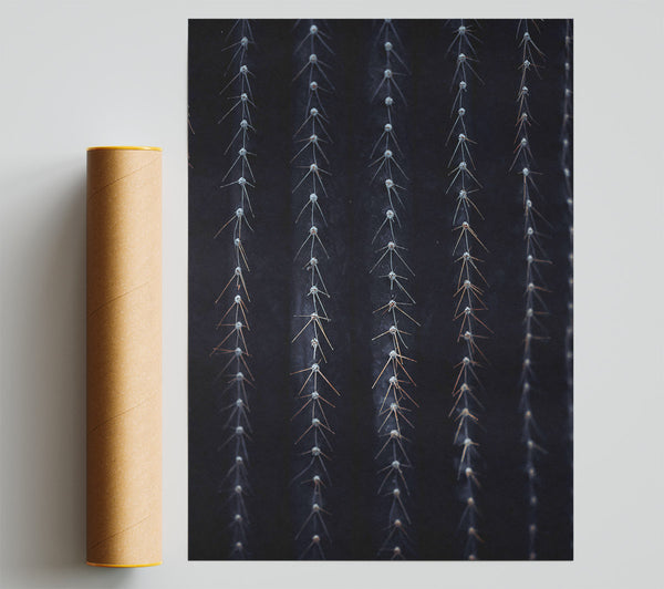 Black Spines Of The Desert. Poster