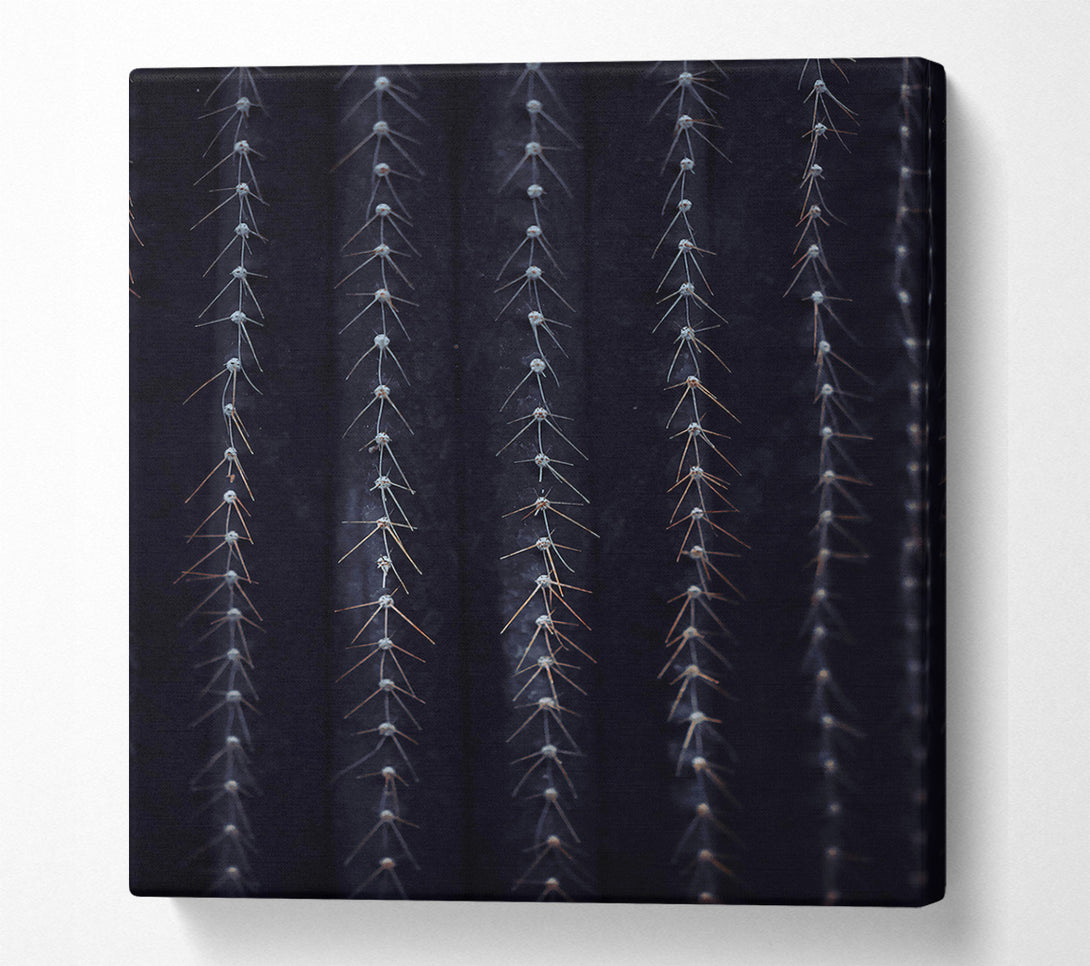  A Canvas Print of Black Spines Of The Desert. Canvas Art