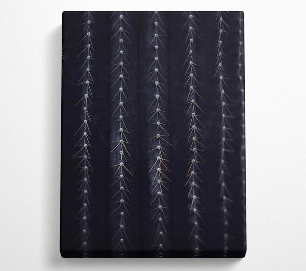  A Canvas Print of Black Spines Of The Desert. Canvas Art