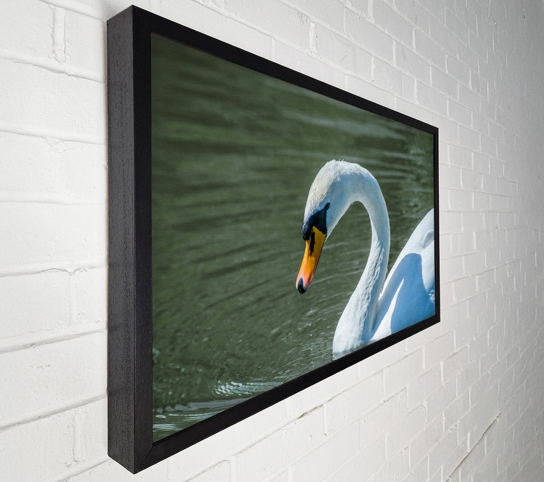  A Canvas Print of White Swan'S Grace Canvas Wall Art