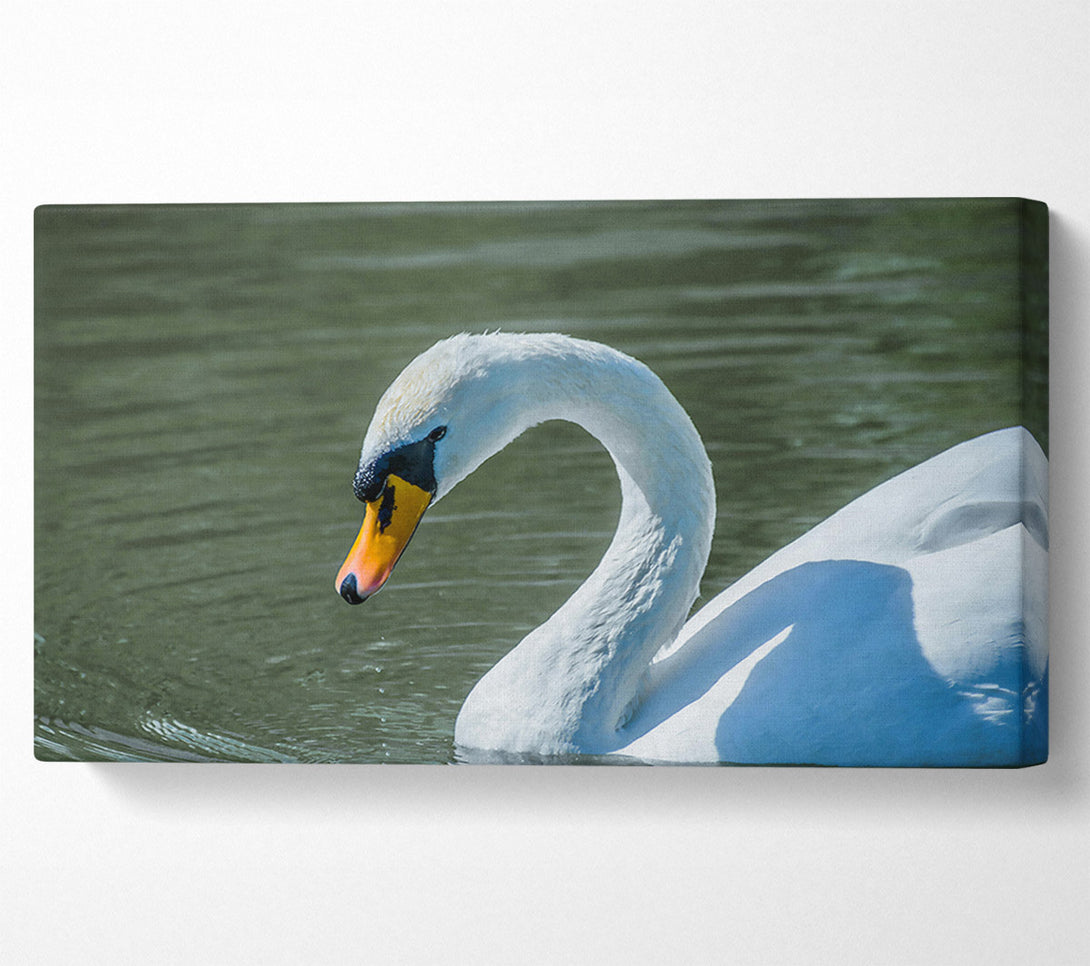  A Canvas Print of White Swan'S Grace Canvas Wall Art