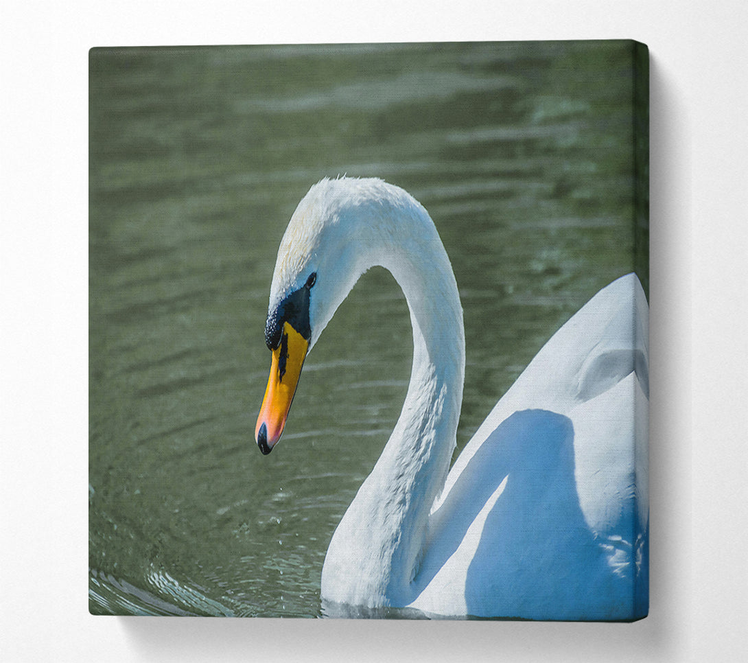  A Canvas Print of White Swan'S Grace Canvas Wall Art