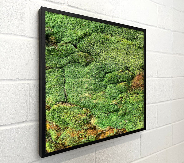 Emerald Moss Patches