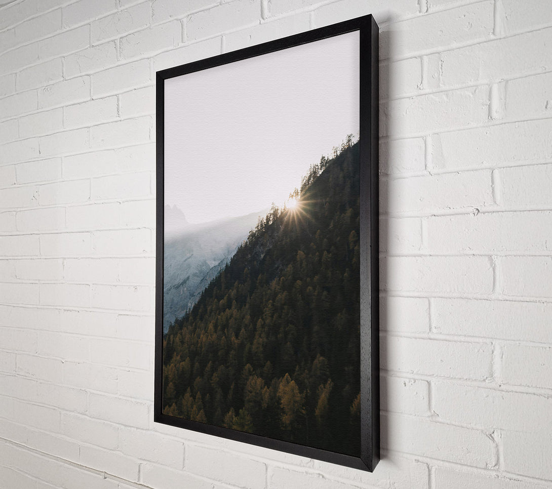 A Canvas Print of Golden Forest Sunset Canvas Art