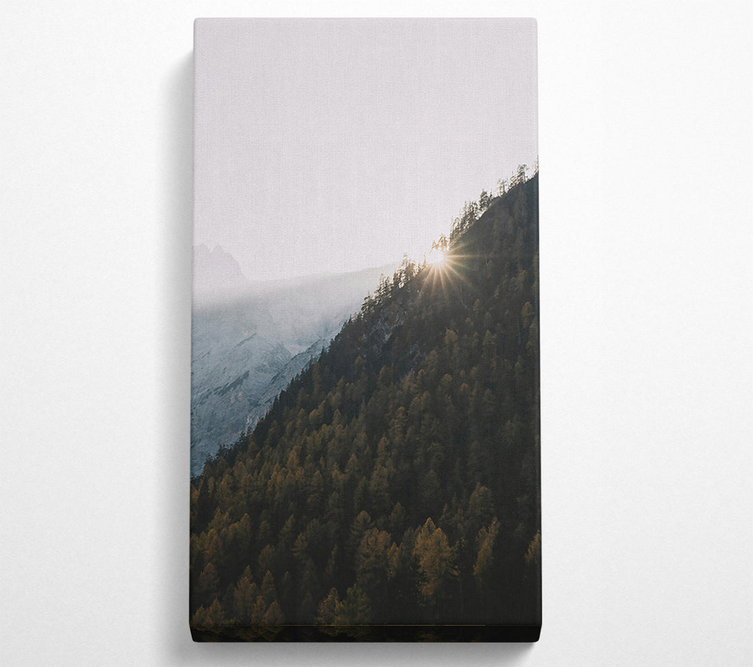  A Canvas Print of Golden Forest Sunset Canvas Art
