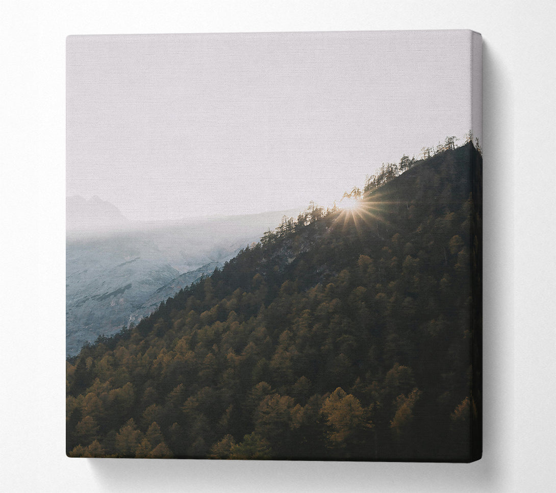  A Canvas Print of Golden Forest Sunset Canvas Art