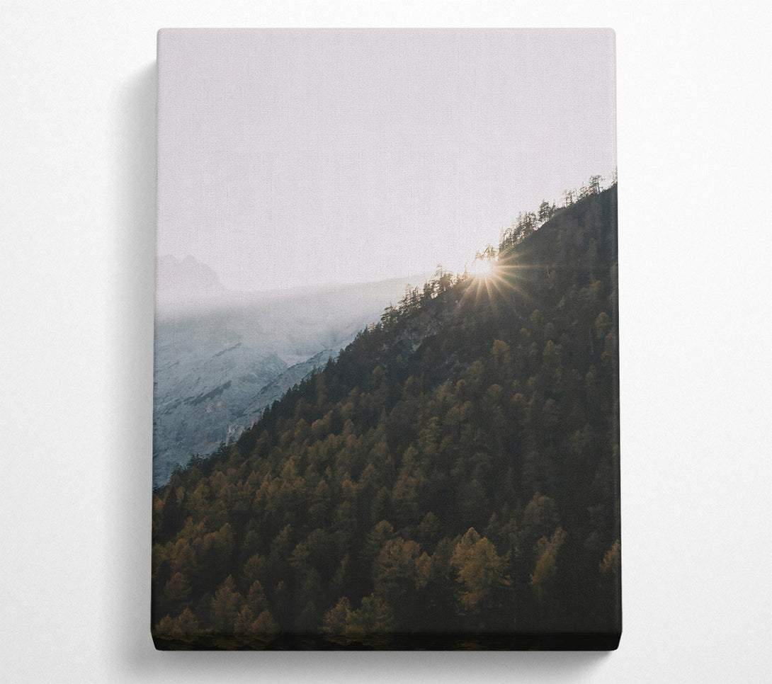  A Canvas Print of Golden Forest Sunset Canvas Art