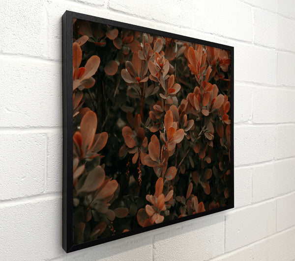 Copper Leaf Whisper