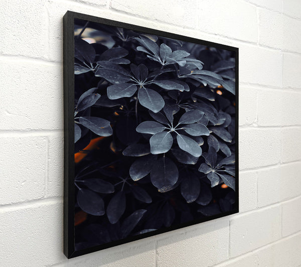 Deep Teal Leaves