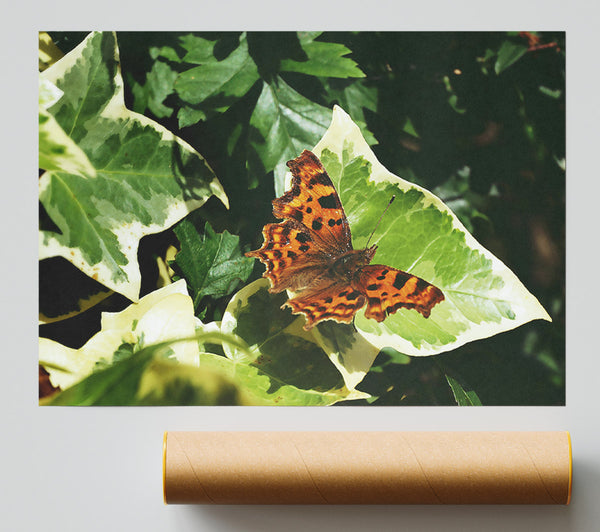Orange Butterfly On Leaf Print