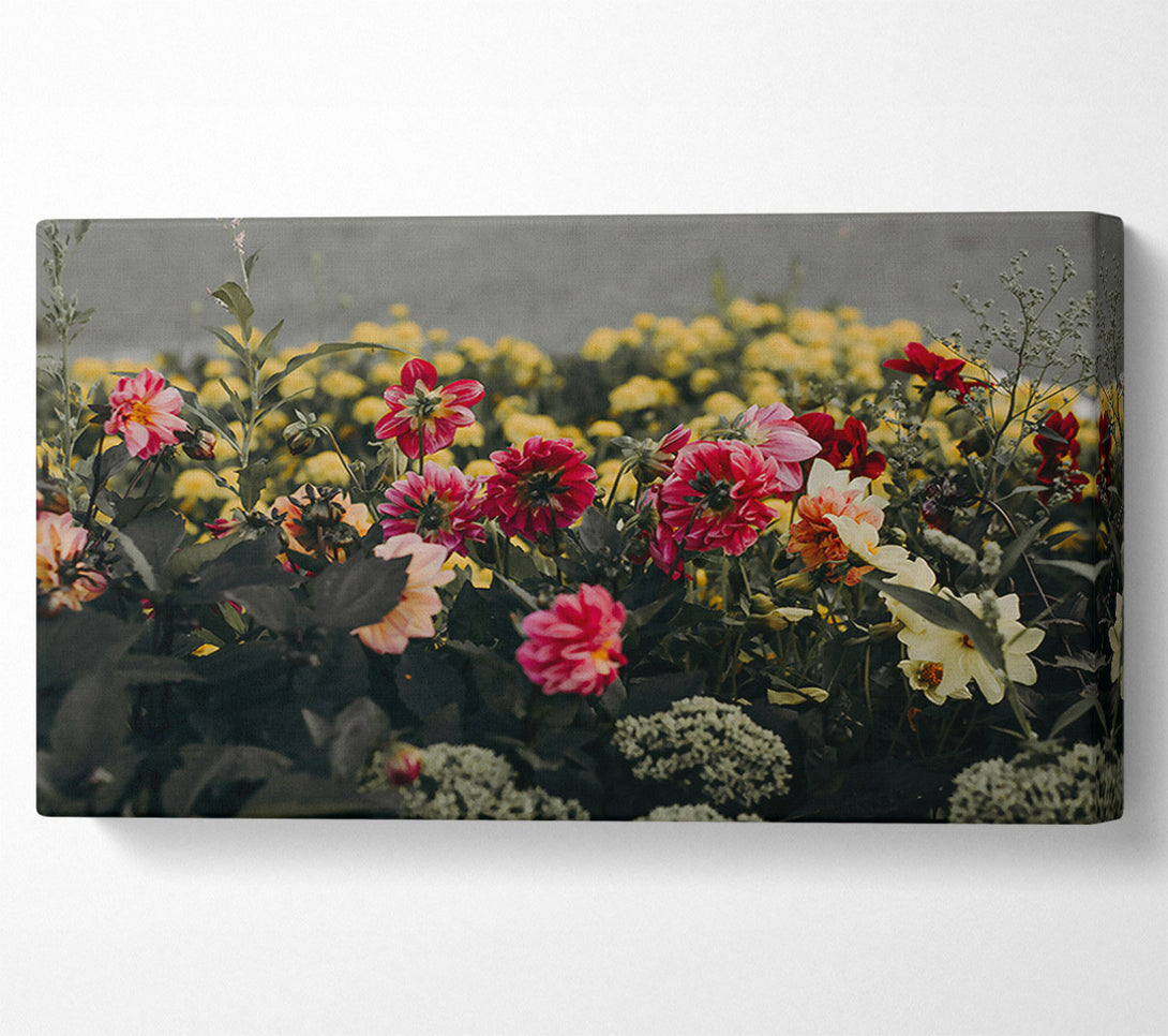  A Canvas Print of Crimson Bloom Burst Canvas Art