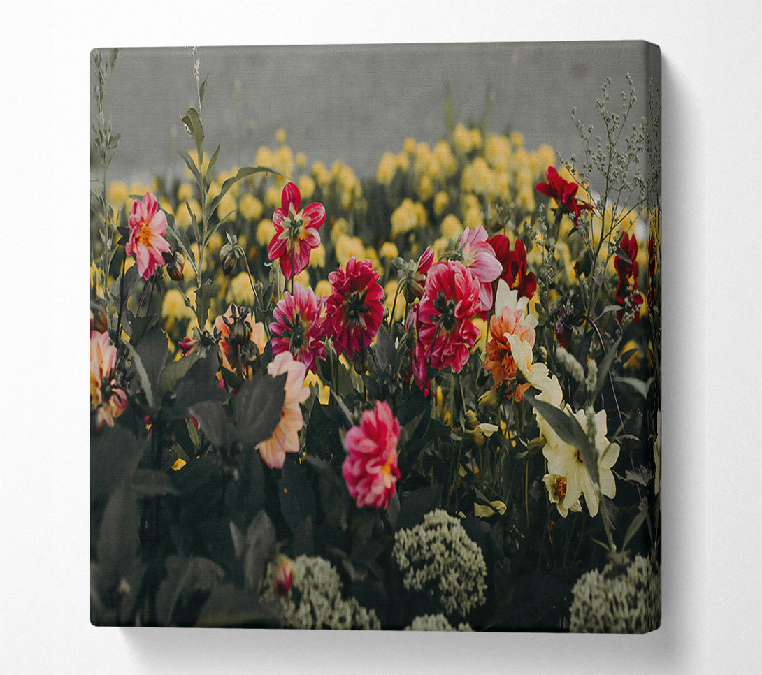  A Canvas Print of Crimson Bloom Burst Canvas Art