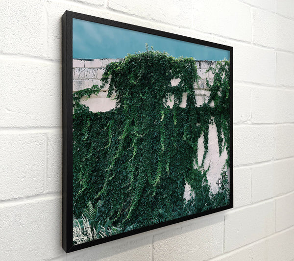 Emerald Wall Embrace
