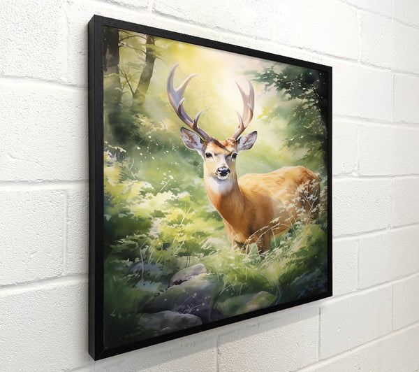 Golden Fawn In Sunlight