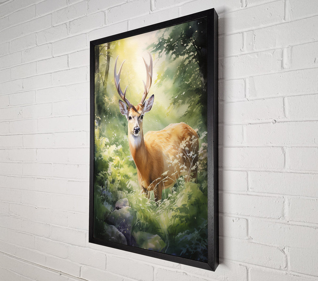  A Canvas Print of Golden Fawn In Sunlight Canvas Print
