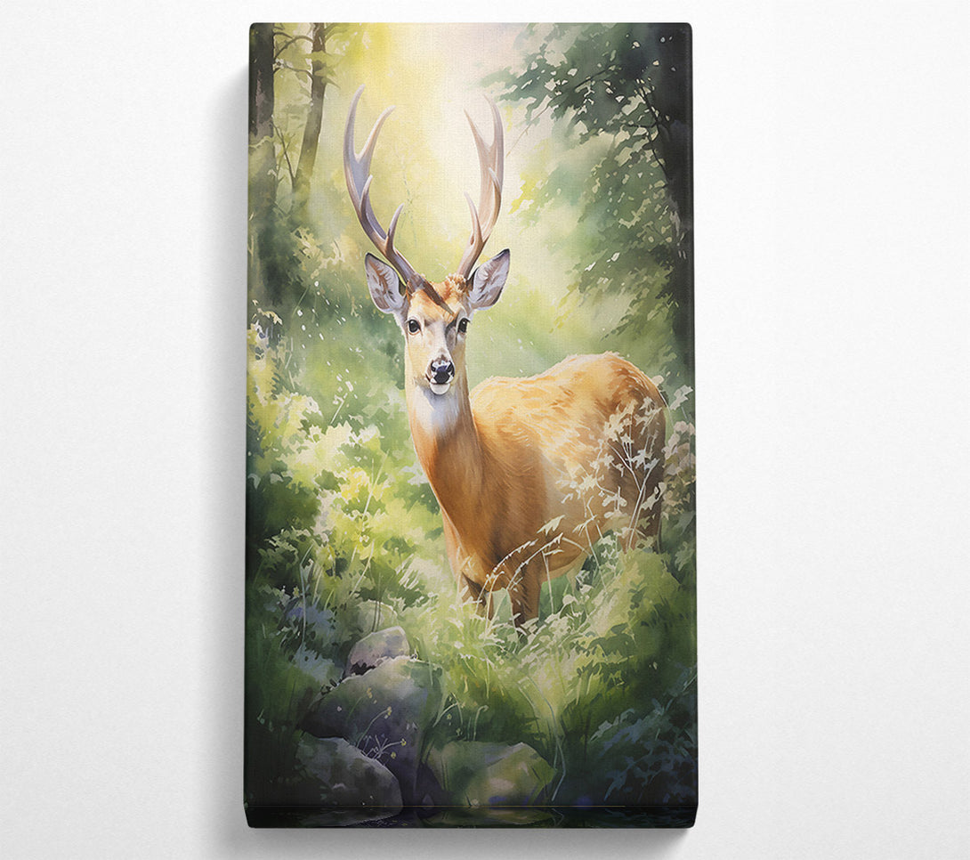  A Canvas Print of Golden Fawn In Sunlight Canvas Print