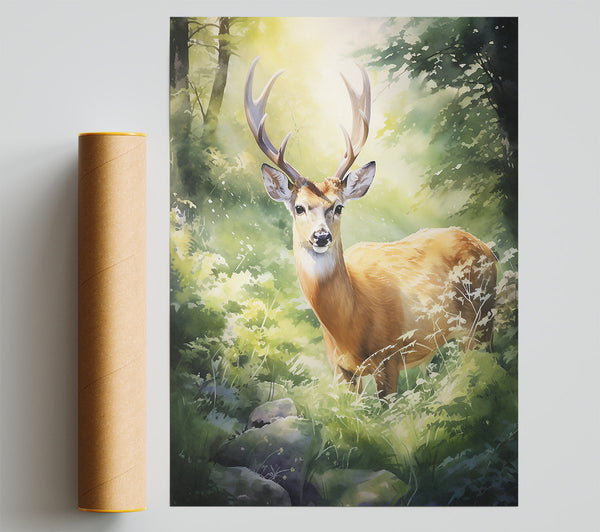 Golden Fawn In Sunlight Poster