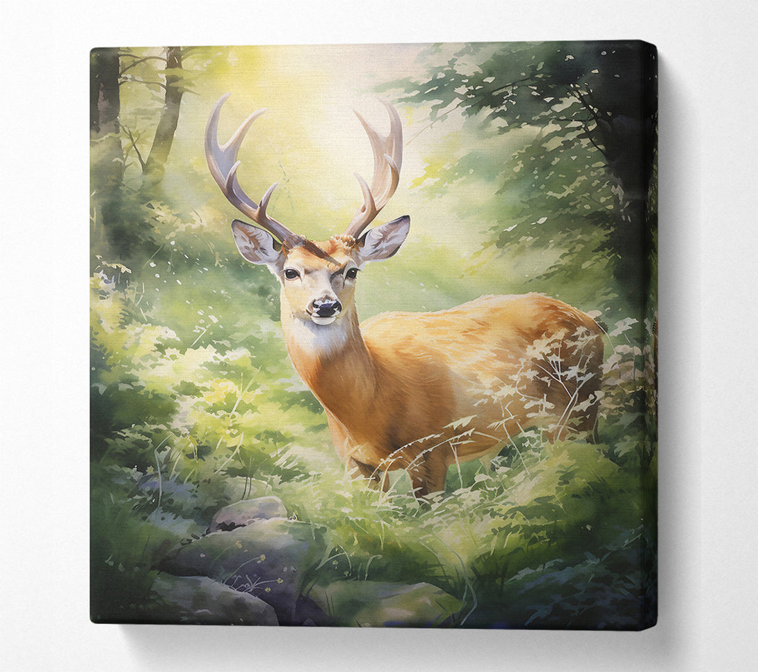  A Canvas Print of Golden Fawn In Sunlight Canvas Print