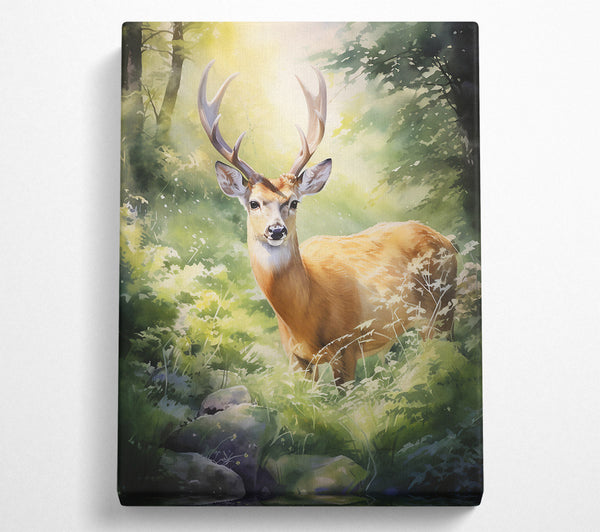  A Canvas Print of Golden Fawn In Sunlight Canvas Print