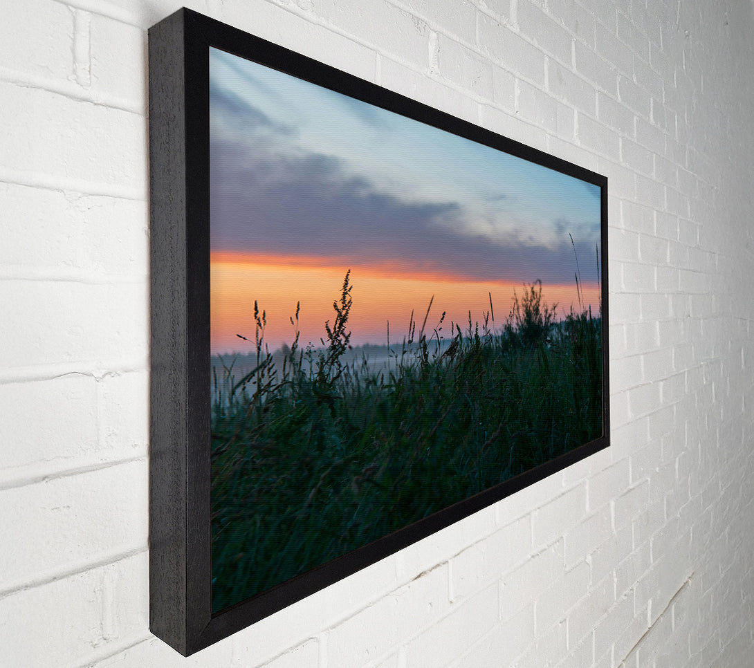  A Canvas Print of Golden Hour Grassland Canvas Print
