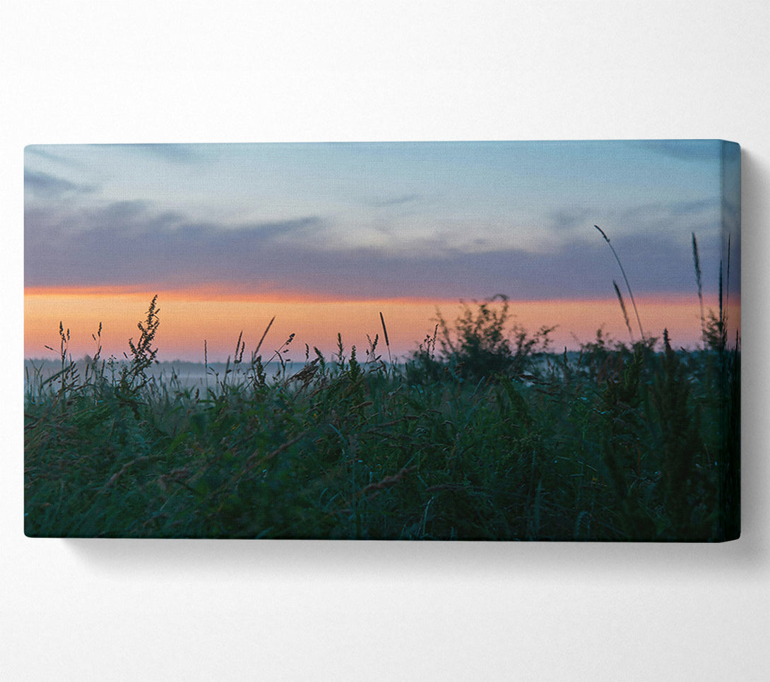  A Canvas Print of Golden Hour Grassland Canvas Print