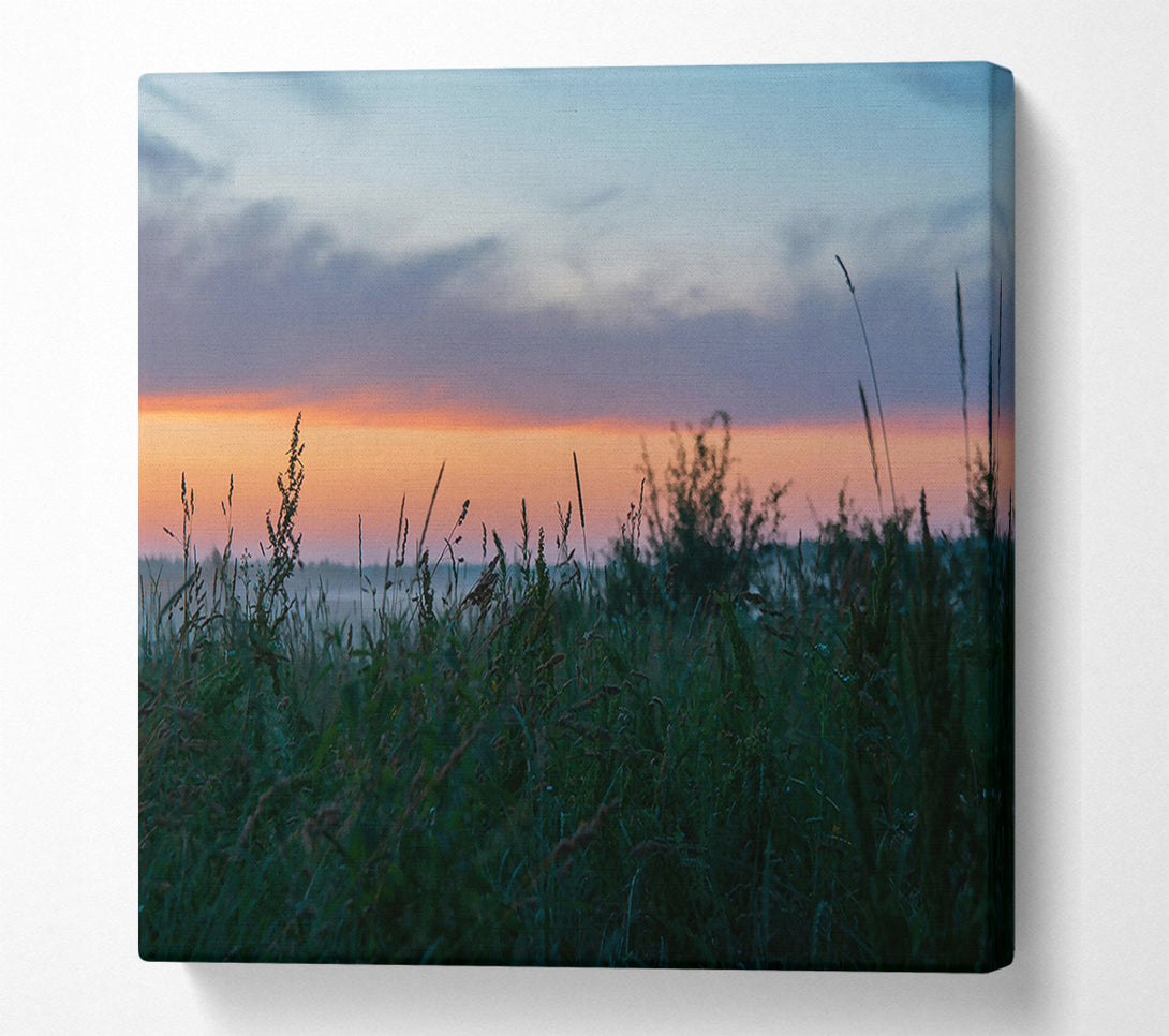  A Canvas Print of Golden Hour Grassland Canvas Print