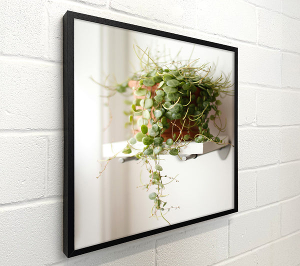 Green Hanging Plant Shelf
