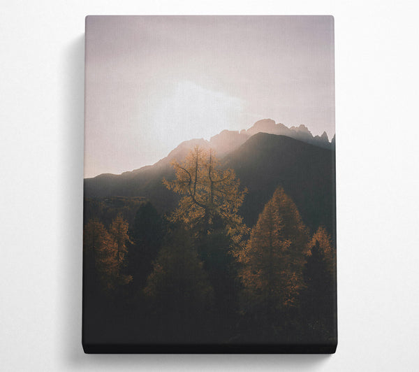 Golden Silhouettes In Mist