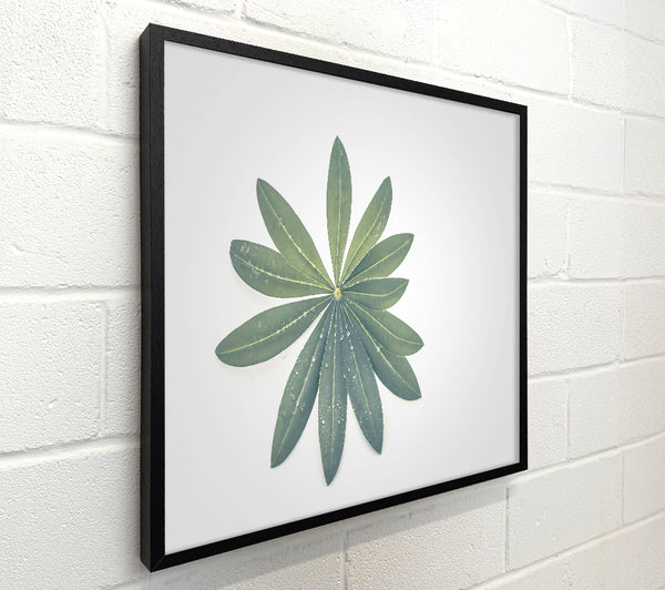 Green Leaf Mandala