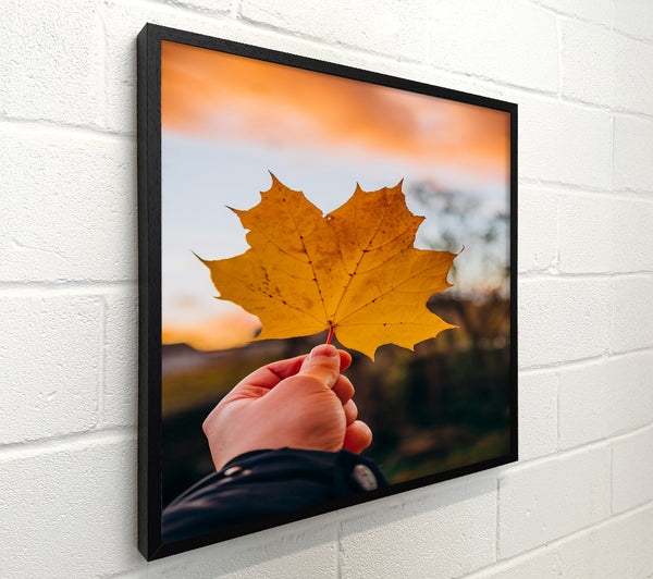 Golden Leaf Sunset