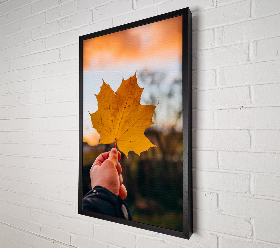  A Canvas Print of Golden Leaf Sunset Canvas Print
