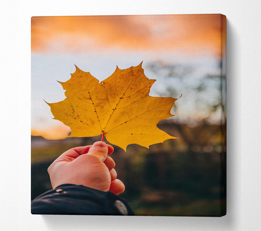  A Canvas Print of Golden Leaf Sunset Canvas Print