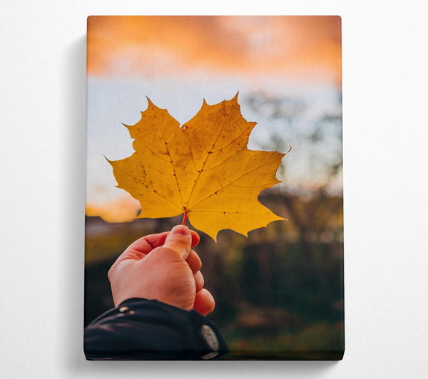  A Canvas Print of Golden Leaf Sunset Canvas Print